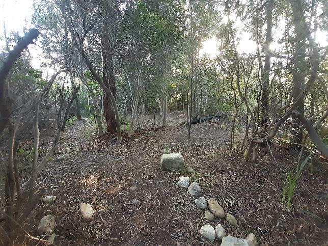 Commercial Property for Sale in Paarl Western Cape